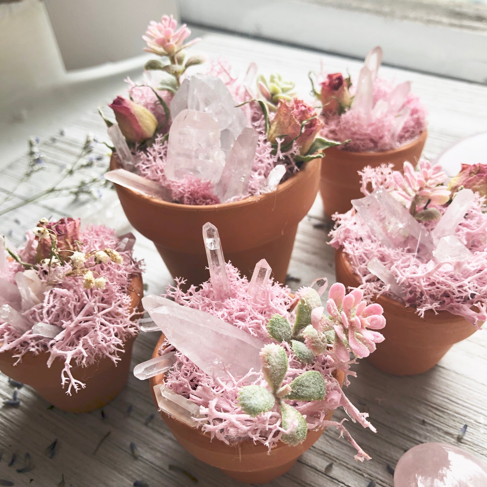 crystals in plant pots Pink Pot of Love Crystal Garden – Lunastry